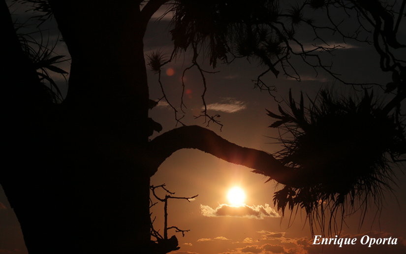 atardecer
