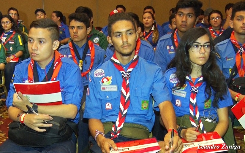 scout