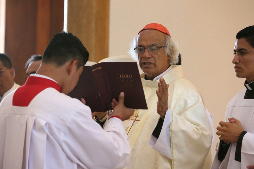 cardenal