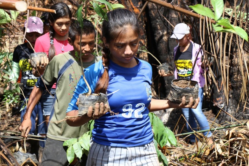 reforestacion
