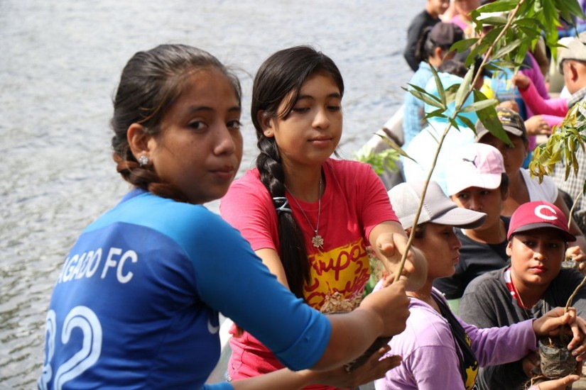 reforestacion