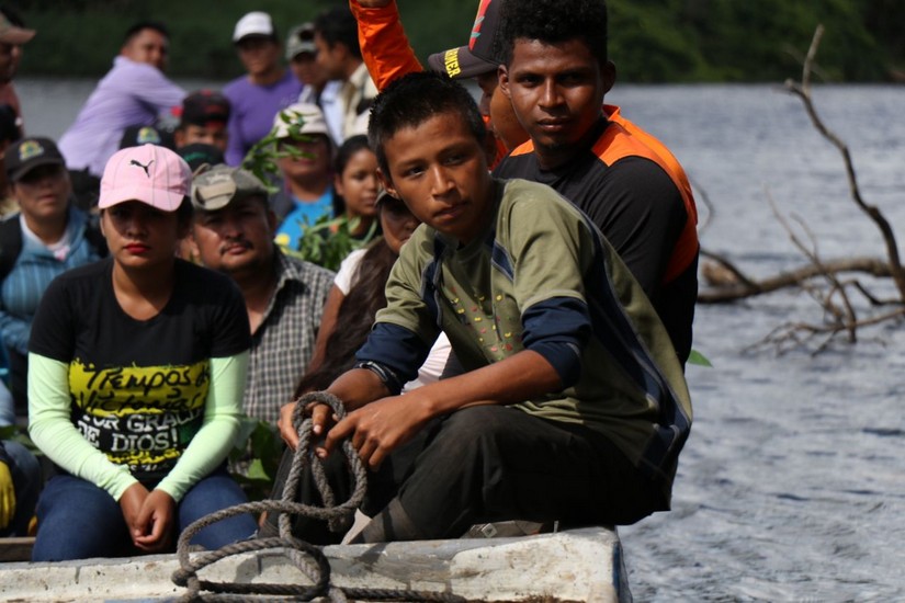 reforestacion