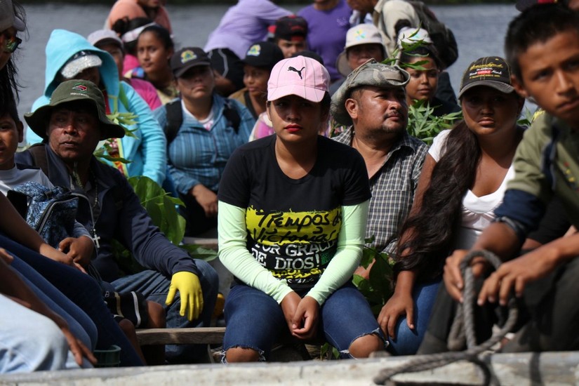reforestacion