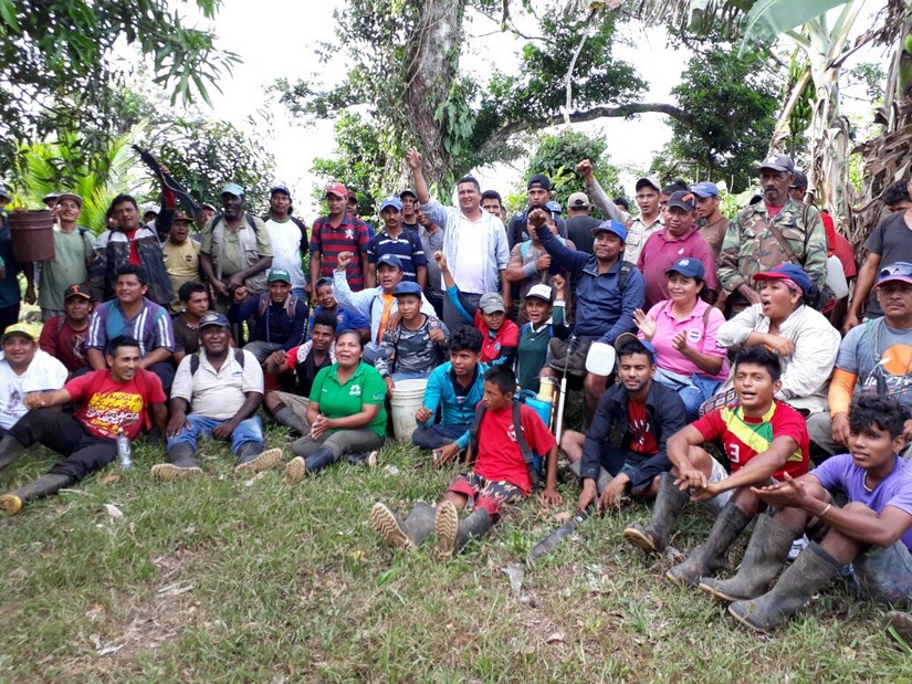 reforestacion