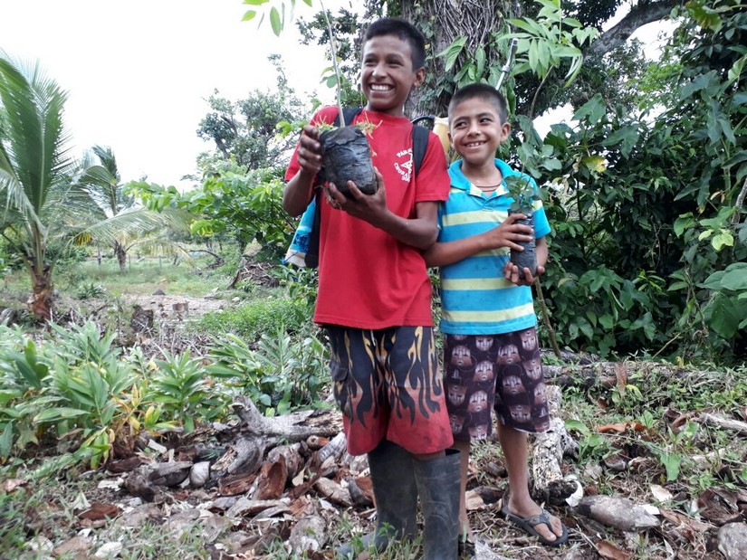 reforestacion