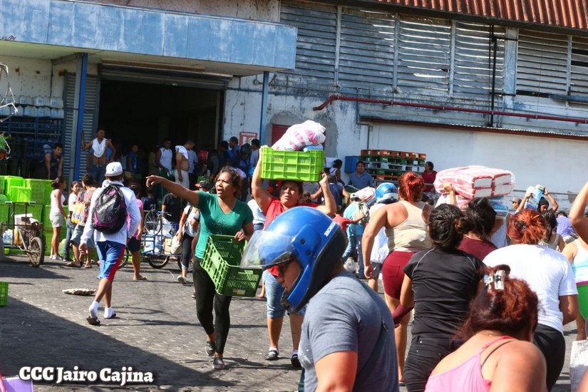 saqueos