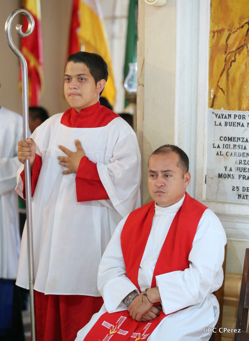 brenes