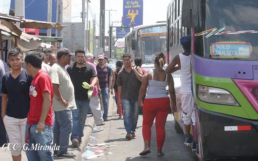 buses