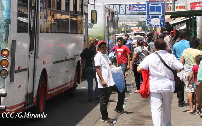 buses
