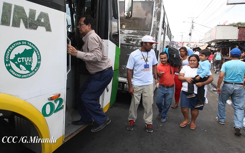 buses