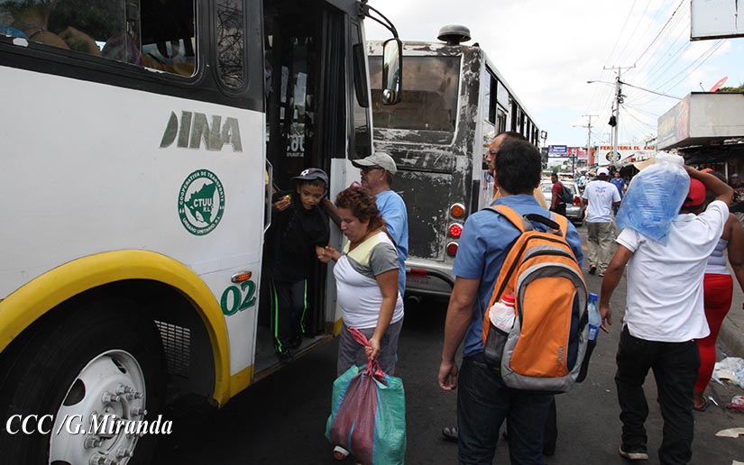 buses