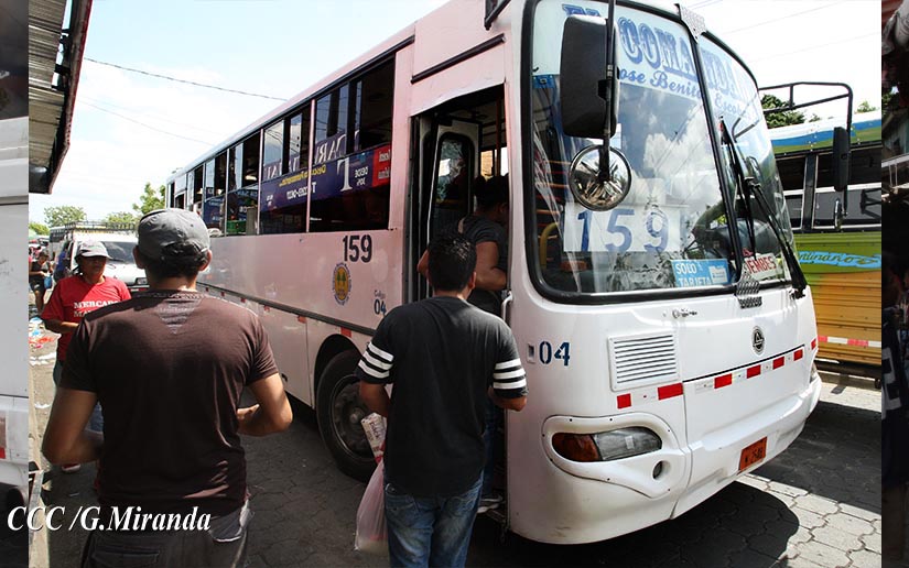 buses