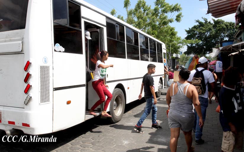 buses