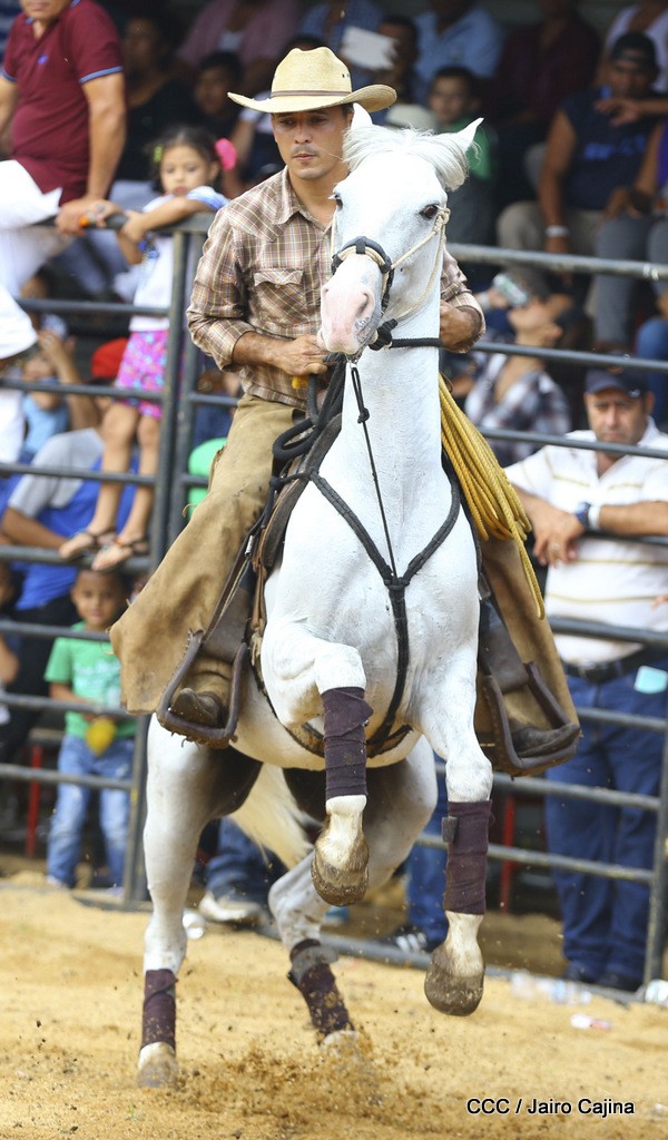 barrera