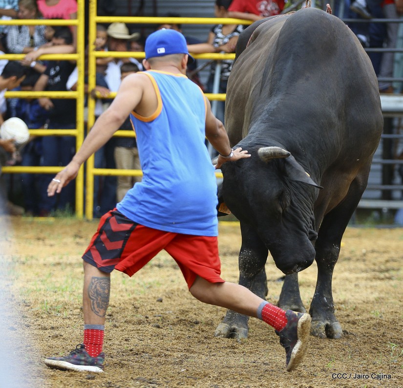 barrera