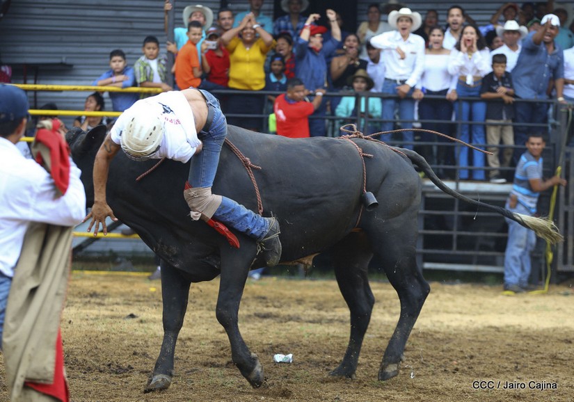 barrera