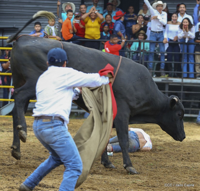 barrera