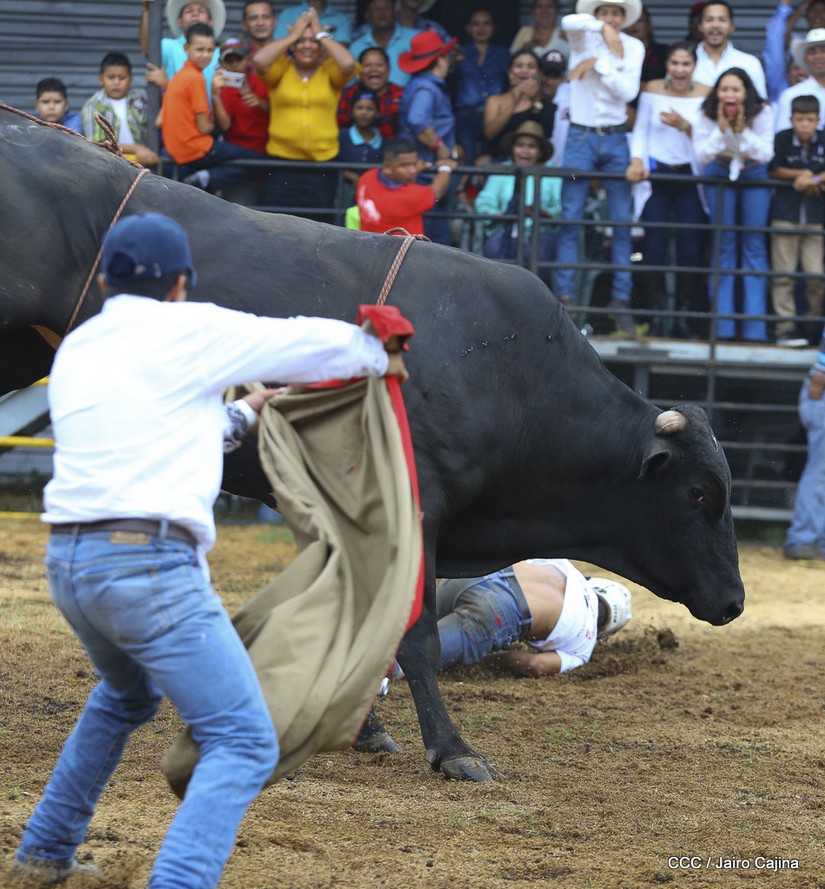 barrera
