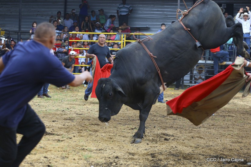 barrera