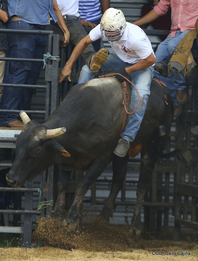 barrera