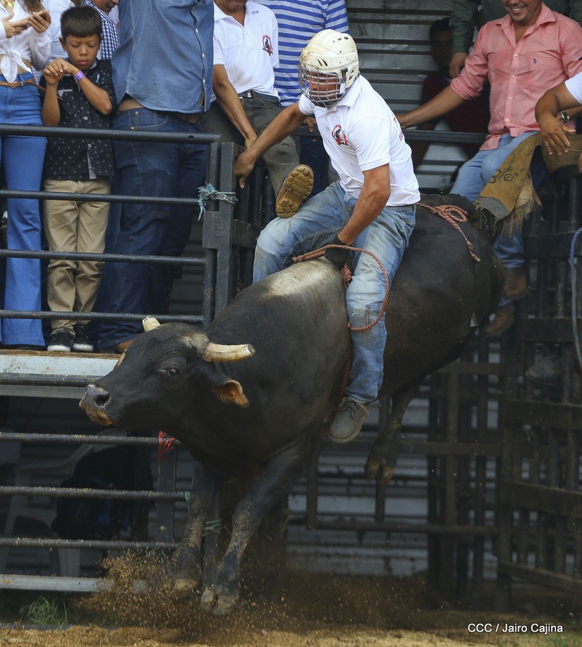 barrera