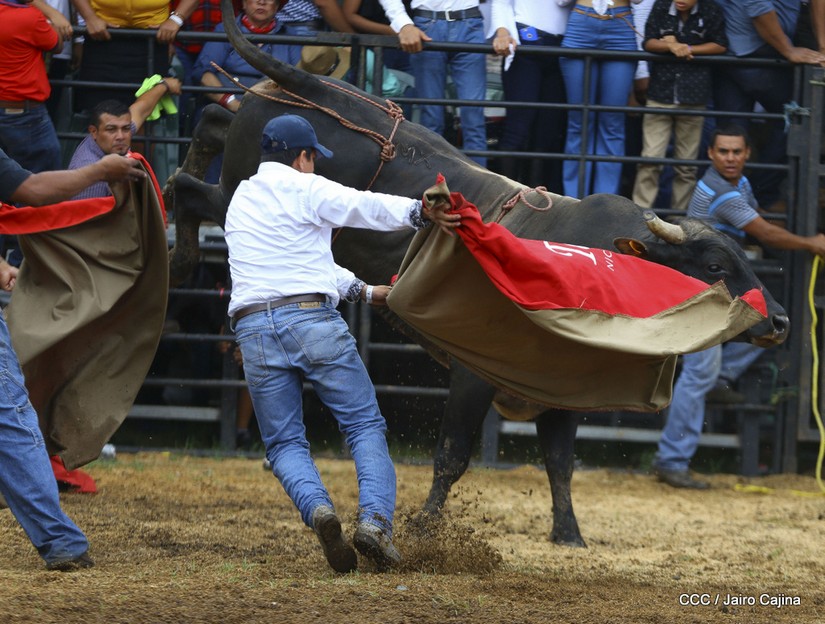 barrera