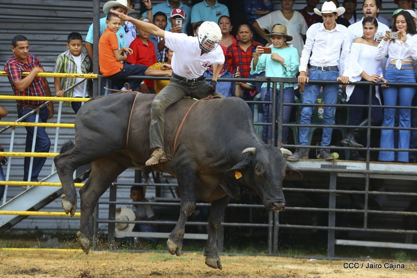 barrera