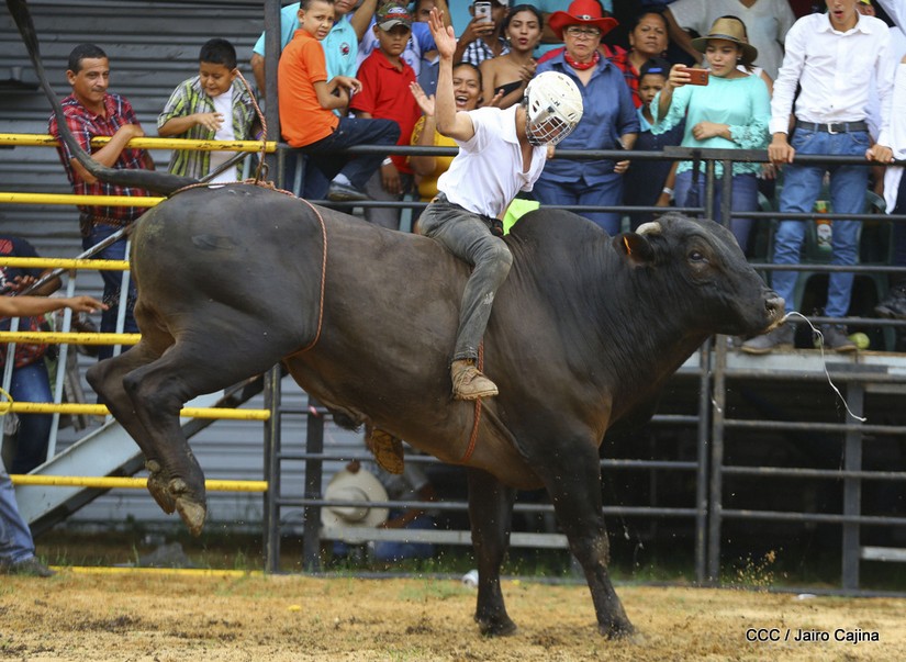 barrera