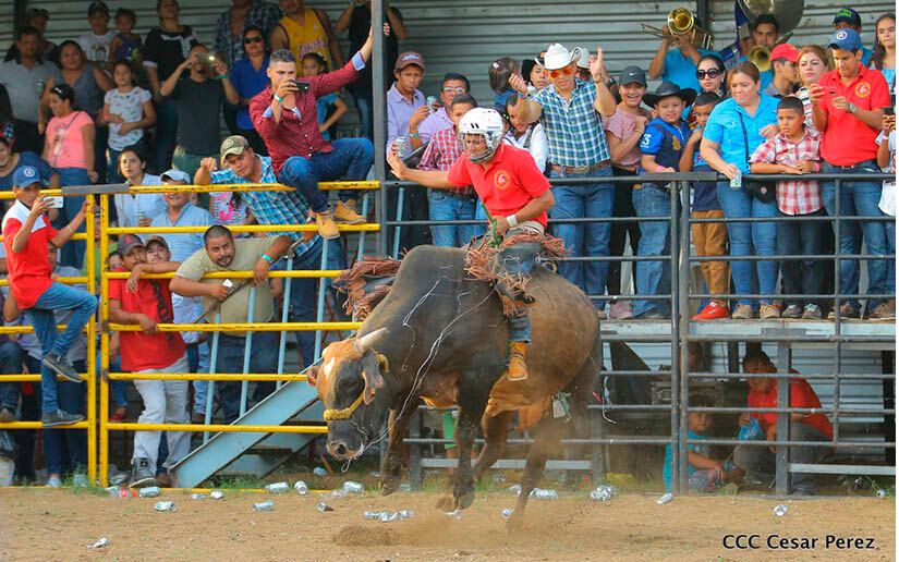 barrera