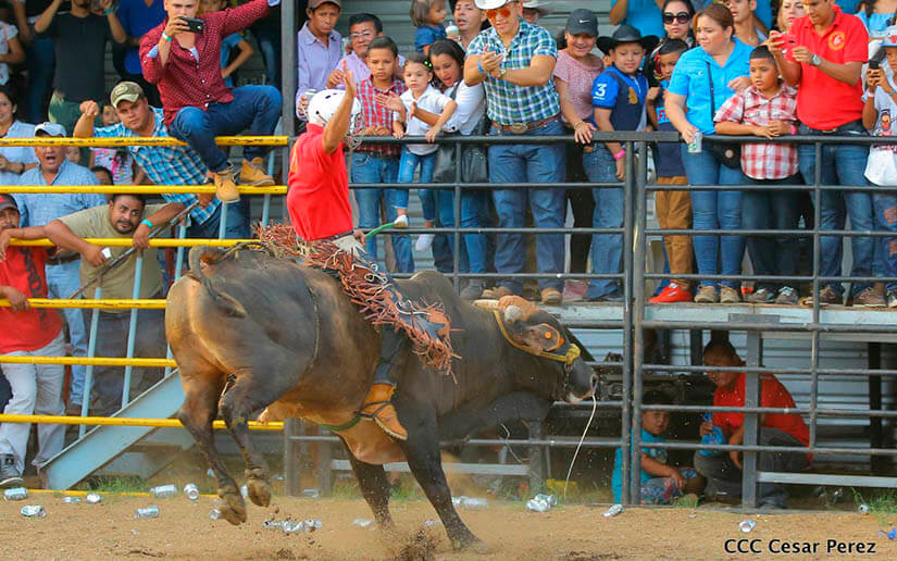 barrera