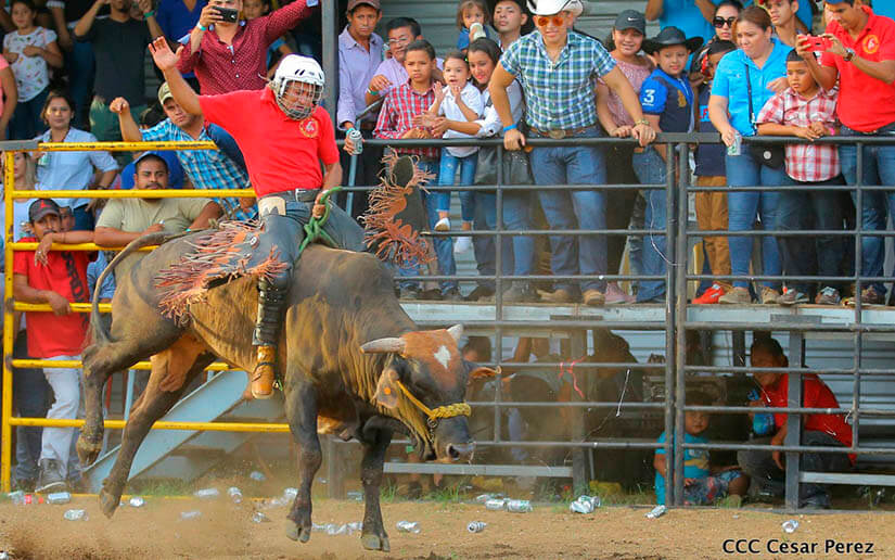 barrera