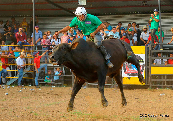 barrera