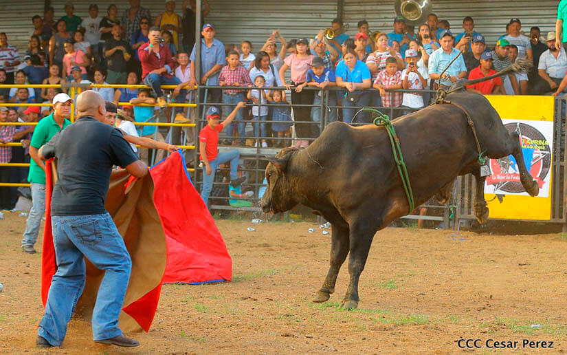 barrera