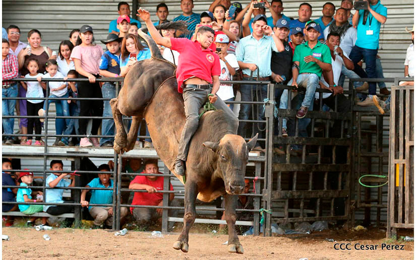 barrera