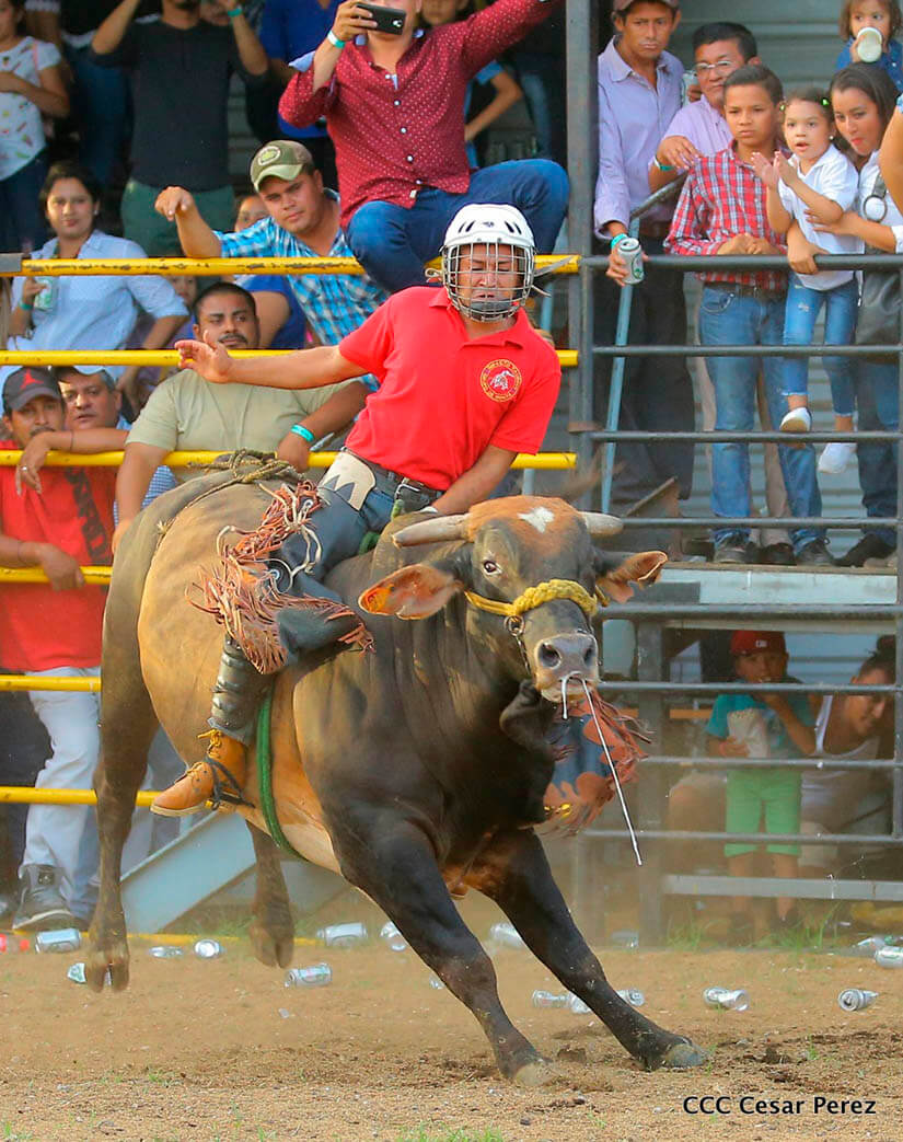barrera