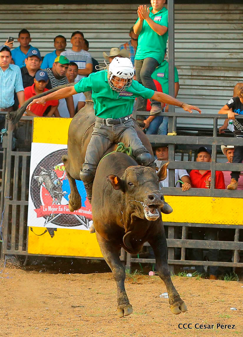 barrera