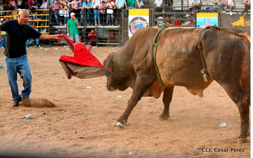barrera