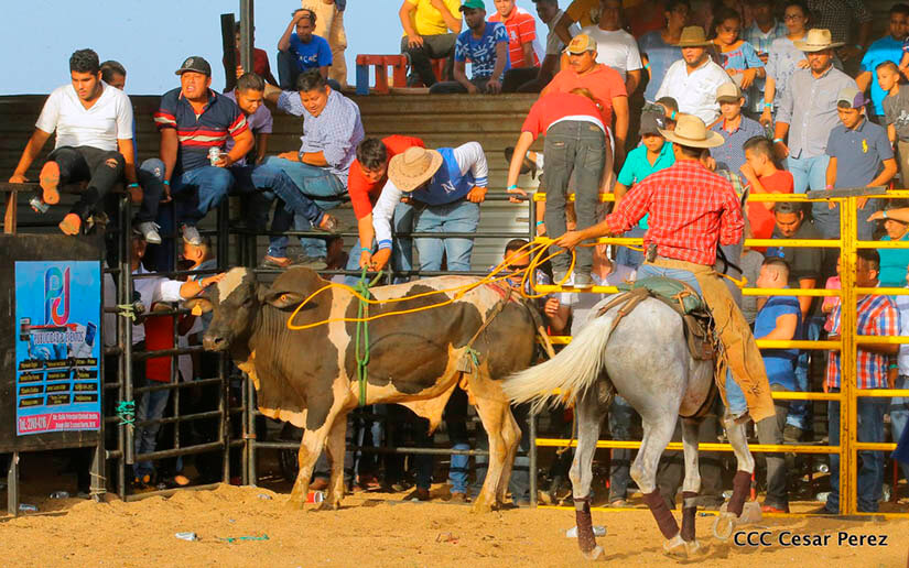 barrera
