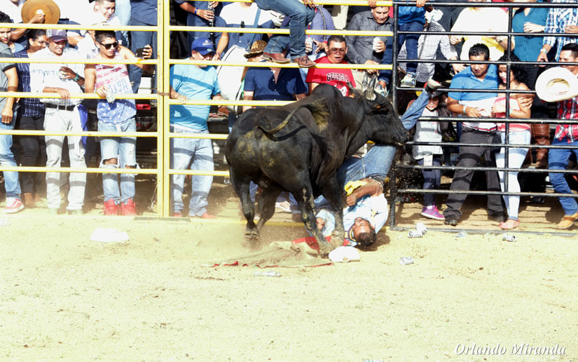 barrera