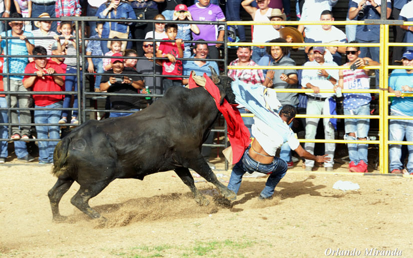 barrera