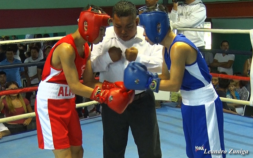 boxeo