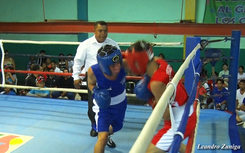 boxeo