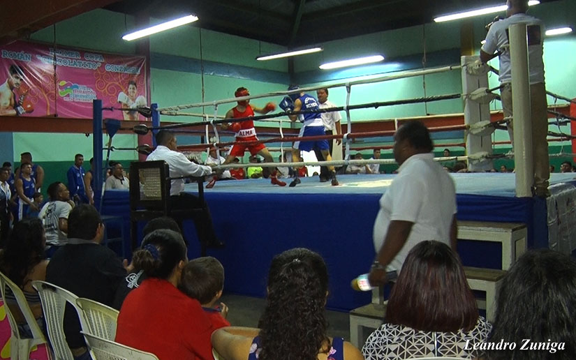 boxeo