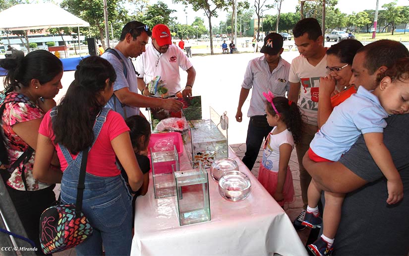 feria1