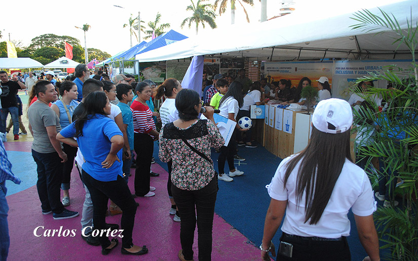 feria2