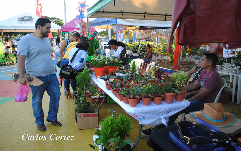 feria2