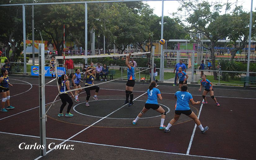 volley2