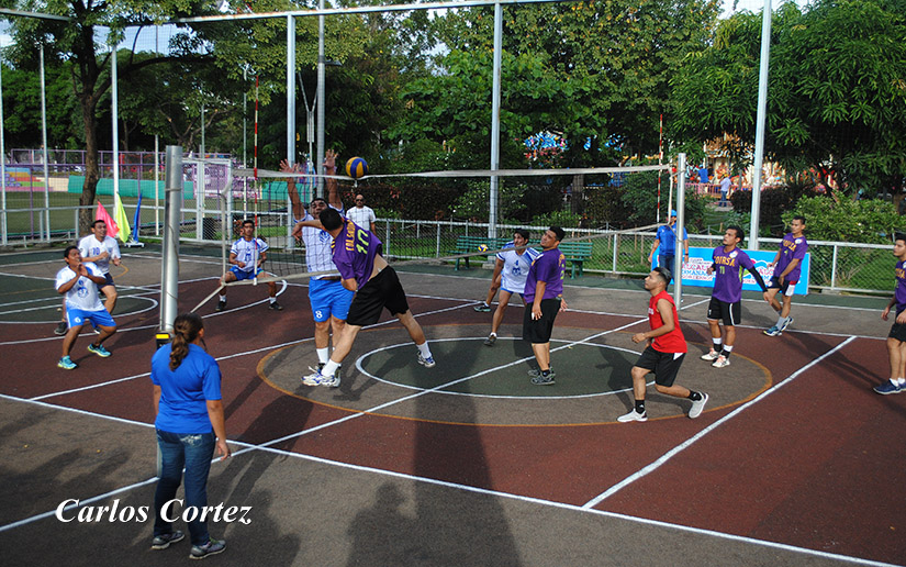 volley2