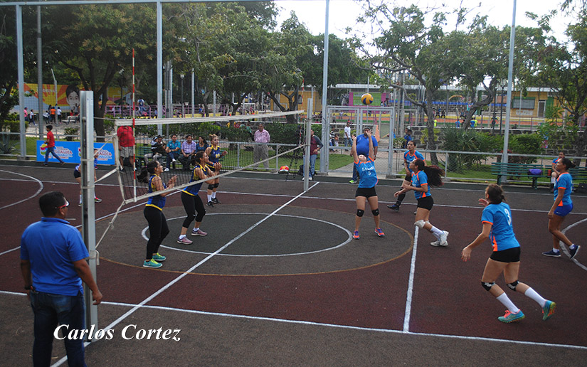 volley2