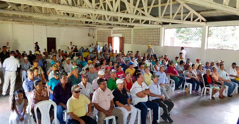 asambleas